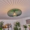 Oravi Ceiling Light green, 1-light source