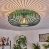Oravi Ceiling Light green, 1-light source