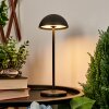 Pelaro Table lamp LED black, 1-light source
