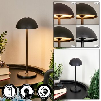 Pelaro Table lamp LED black, 1-light source