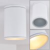 AGUA Ceiling Light white, 1-light source