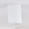 AGUA Ceiling Light white, 1-light source