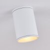 AGUA Ceiling Light white, 1-light source