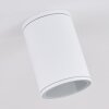 AGUA Ceiling Light white, 1-light source