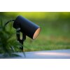 Lucide TAYLOR garden spotlight black, 1-light source