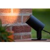 Lucide TAYLOR garden spotlight black, 1-light source