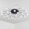 Lacosse Ceiling Light LED black, 21-light sources