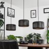 Fournie Pendant Light black, 3-light sources