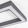 Dubuisson Ceiling Light LED anthracite, 1-light source, Remote control
