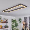 Dubuisson Ceiling Light LED anthracite, 1-light source, Remote control
