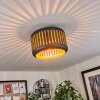 Fournie Ceiling Light black, 1-light source
