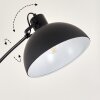 Recife Floor Lamp black, 1-light source