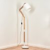 Tukchor Floor Lamp Ecru, 1-light source