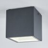 Spidern outdoor ceiling light LED anthracite, white, 1-light source