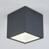 Spidern outdoor ceiling light LED anthracite, white, 1-light source