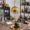 Koyoto Pendant Light glass 25 cm gold, black, 1-light source