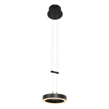 Steinhauer Piola Pendant Light LED black, 2-light sources