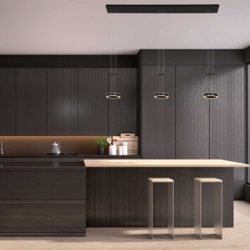 Steinhauer Piola Pendant Light LED black, 6-light sources