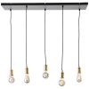 Brilliant Darcia Pendant Light black, 5-light sources