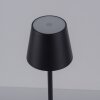 Leuchten-Direkt EURIA Table lamp LED black, 1-light source
