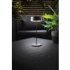 Lutec COCKTAIL Table lamp LED black, 1-light source