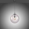 Paul Neuhaus WIDOW Pendant Light black, 1-light source