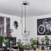 Koyoto Pendant Light glass 15 cm stainless steel, black, 1-light source