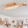 Cajas Ceiling Light LED Ecru, 4-light sources