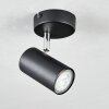 Javel Ceiling Light black, 1-light source