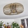 Wemude Ceiling Light antique brass, 1-light source