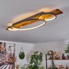 Nevogilde Ceiling Light LED Ecru, 1-light source