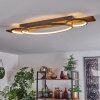 Nevogilde Ceiling Light LED Ecru, 1-light source