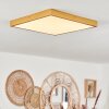 Broglen Ceiling Light LED gold, 1-light source
