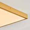 Broglen Ceiling Light LED gold, 1-light source