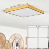 Broglen Ceiling Light LED gold, 1-light source