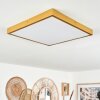 Broglen Ceiling Light LED gold, 1-light source