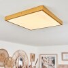 Broglen Ceiling Light LED gold, 1-light source