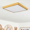 Broglen Ceiling Light LED gold, 1-light source