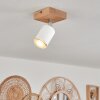 Nazca Ceiling Light Ecru, 1-light source