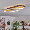Nevogilde Ceiling Light LED Ecru, 1-light source