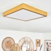Broglen Ceiling Light LED gold, 1-light source