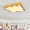 Broglen Ceiling Light LED gold, 1-light source