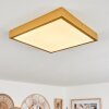 Broglen Ceiling Light LED gold, 1-light source