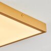 Broglen Ceiling Light LED gold, 1-light source