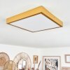 Broglen Ceiling Light LED gold, 1-light source