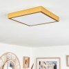 Broglen Ceiling Light LED gold, 1-light source