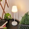 Maza Table lamp LED white, 1-light source