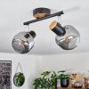 Lexington Ceiling Light black, 2-light sources