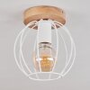 Pajalta Ceiling Light Ecru, 1-light source