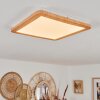 Siguna Ceiling Light white, 1-light source